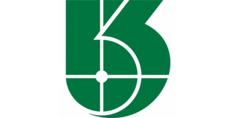 Benchmark Solutions Limited – Company Analysis Report